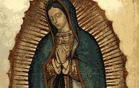 Festividad a La virgen de Guadalupe